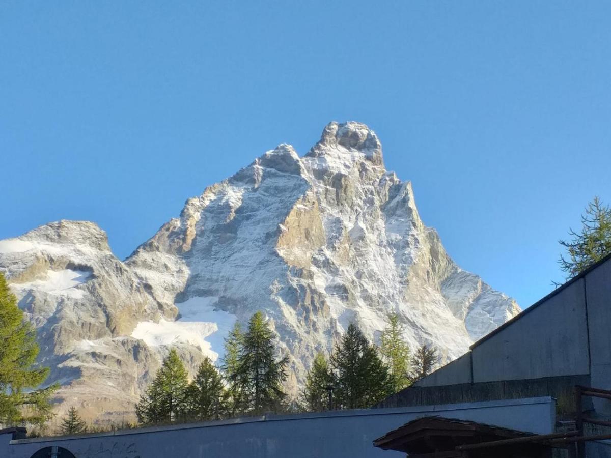 Soldanella Cervinia Apartment Vda Vacanze In Vetta Cir 0253 Бройл-Червиня Екстериор снимка