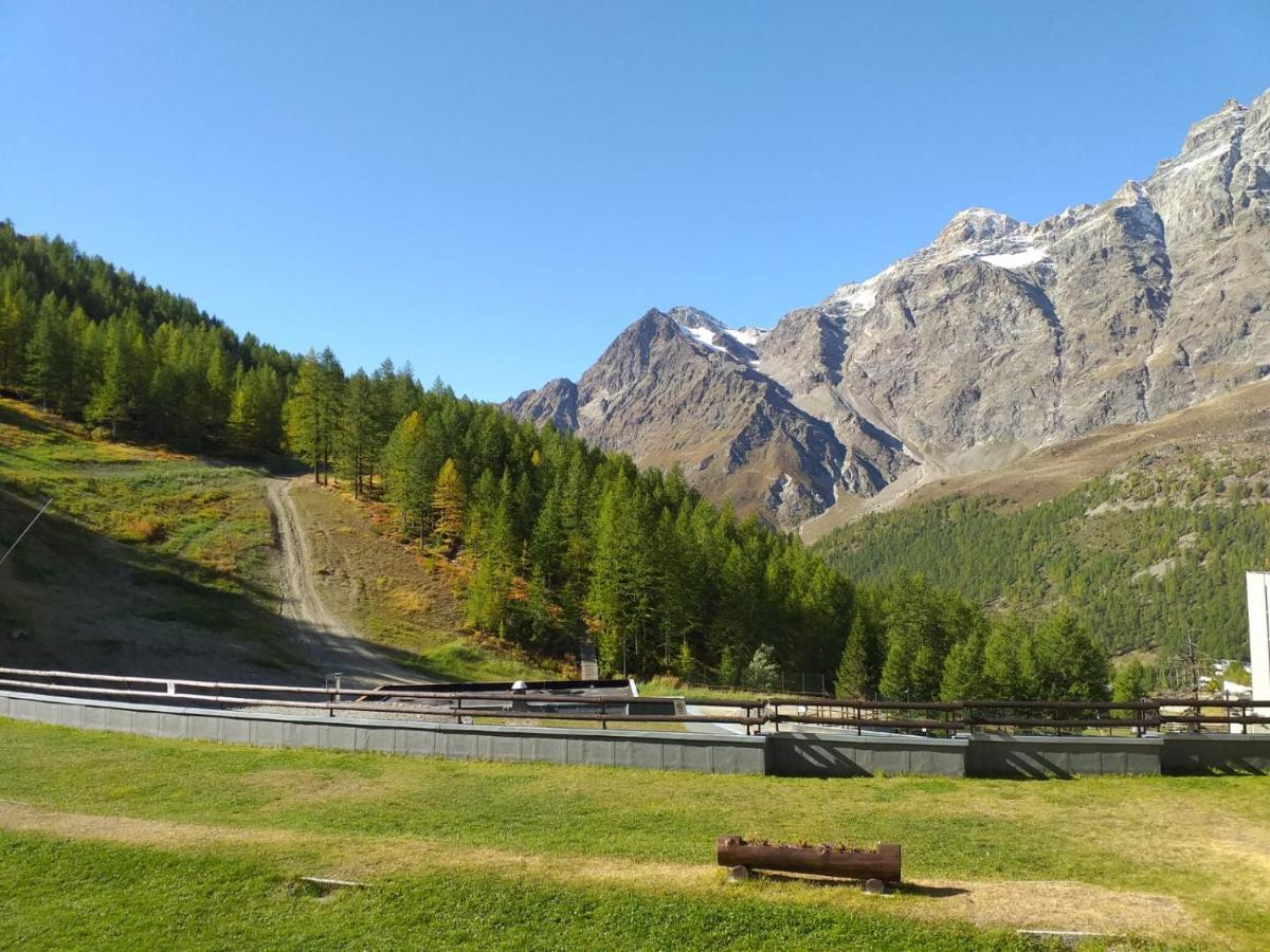 Soldanella Cervinia Apartment Vda Vacanze In Vetta Cir 0253 Бройл-Червиня Екстериор снимка